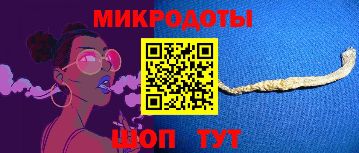 Псилоцибиновые грибы Psilocybe Кандалакша